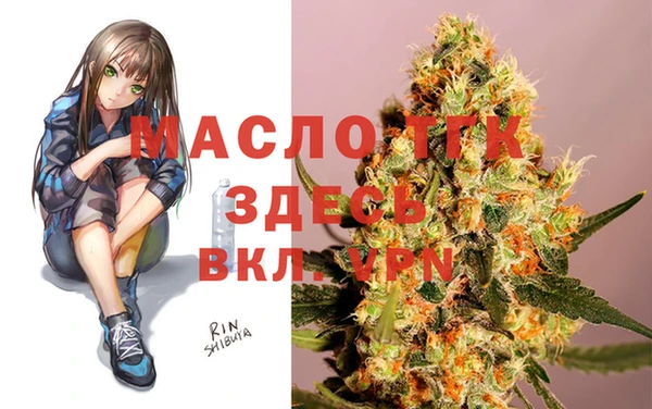 молекула духа Михайлов
