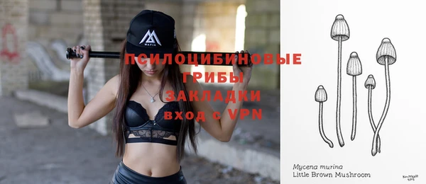 2c-b Абаза