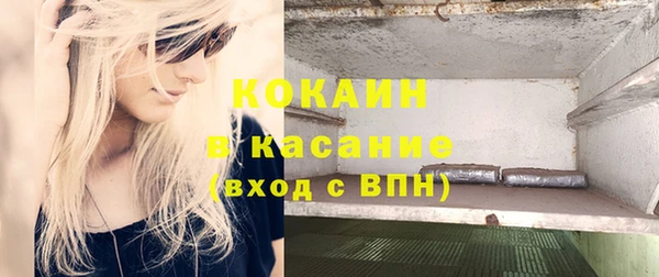 молекула духа Михайлов
